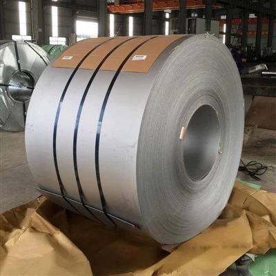 Jalur Hastelloy C